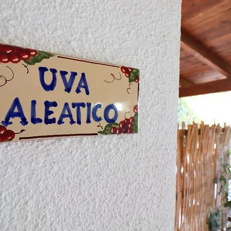 Tatil Evi Casa Aleatico Torre Santo Stefano Otranto